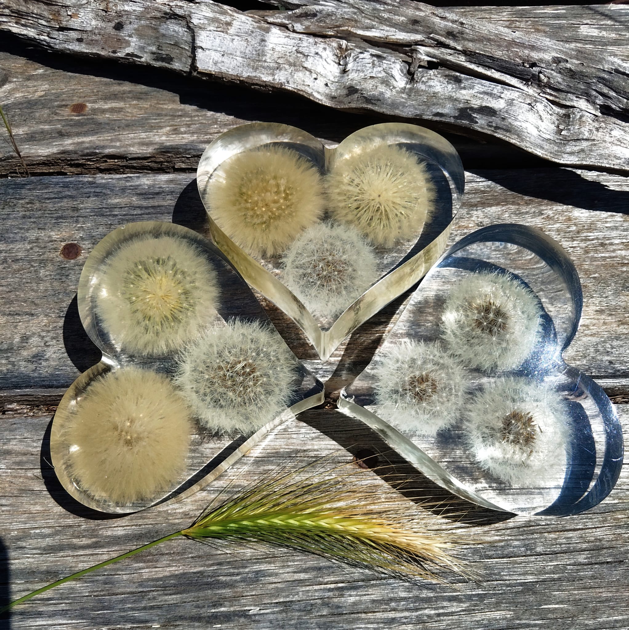 Cuoricino Romantico con Soffioni